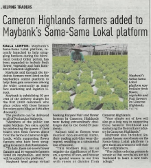 New Straits Times, May 9, 2020 - Cameron Highlands Farmers Added to Maybank's Sama-sama Lokal Platform