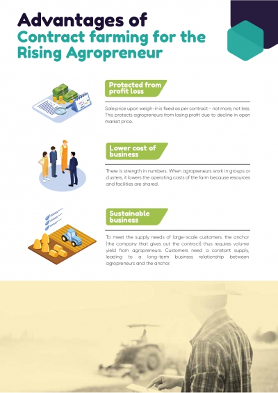Advantages of  Contract farming for the Rising Agropreneur